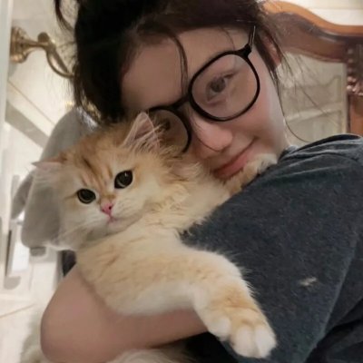 娘娘今日不上朝